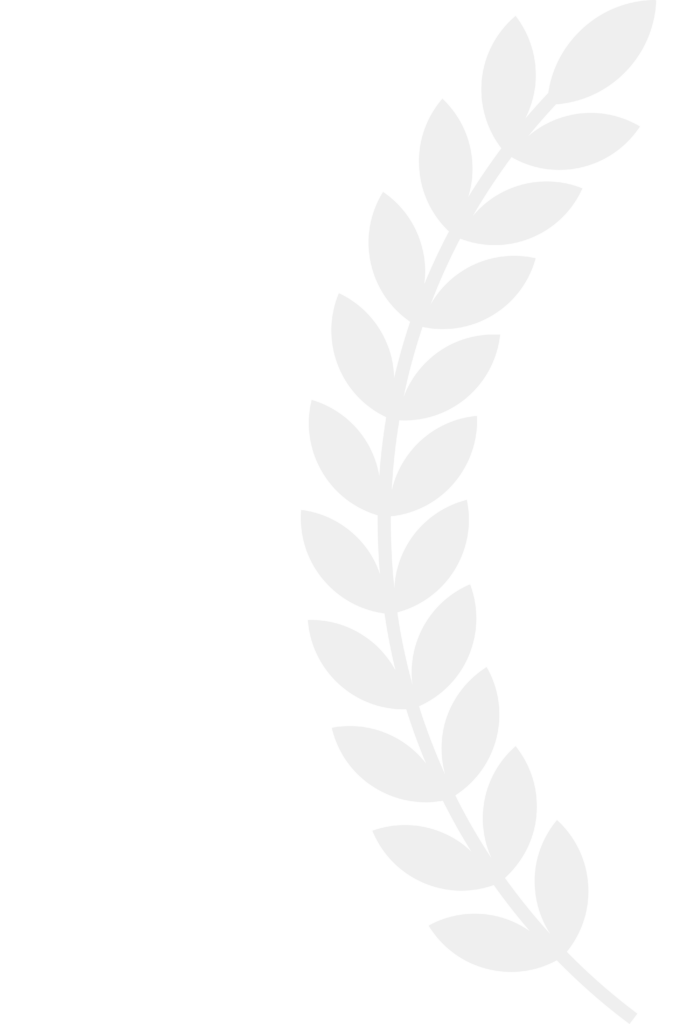untitled design 2