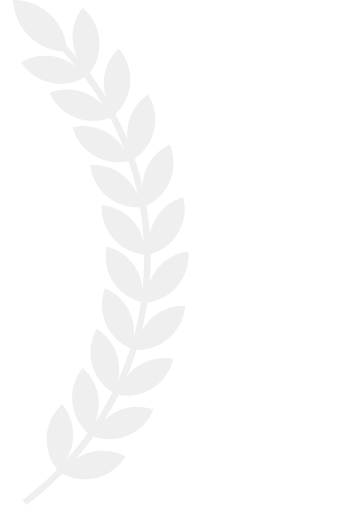 untitled design